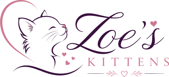 zoekittensforsalenearme.com